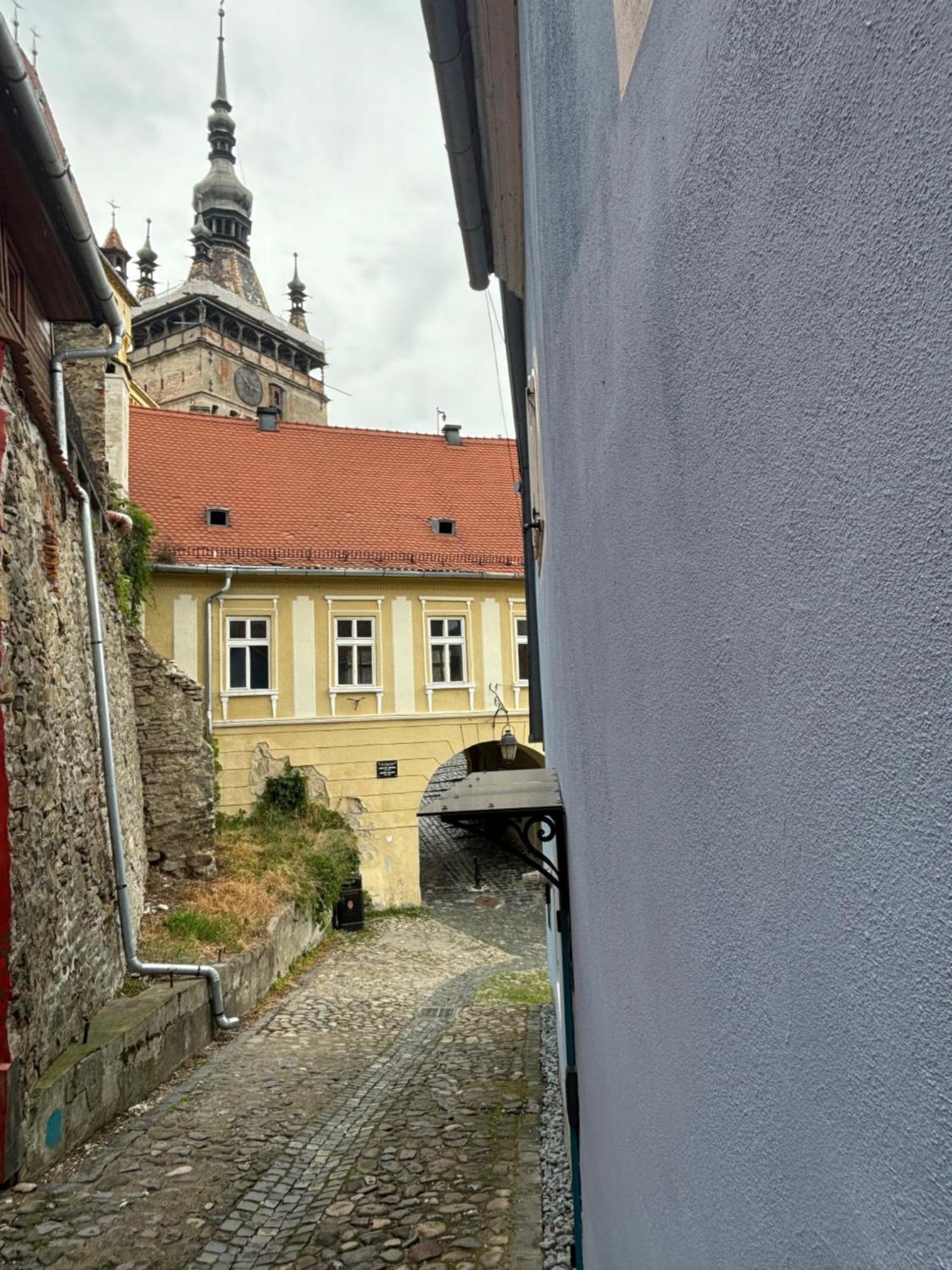Blue House Citadel Elite Sighisoara Appartement Buitenkant foto